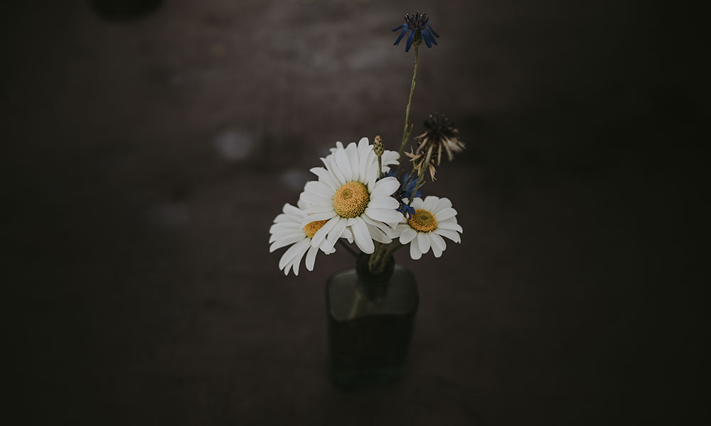이미지6